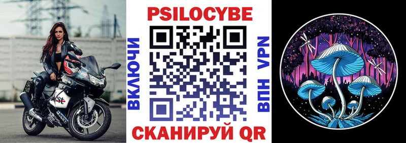 Псилоцибиновые грибы GOLDEN TEACHER  как найти   Богородицк 